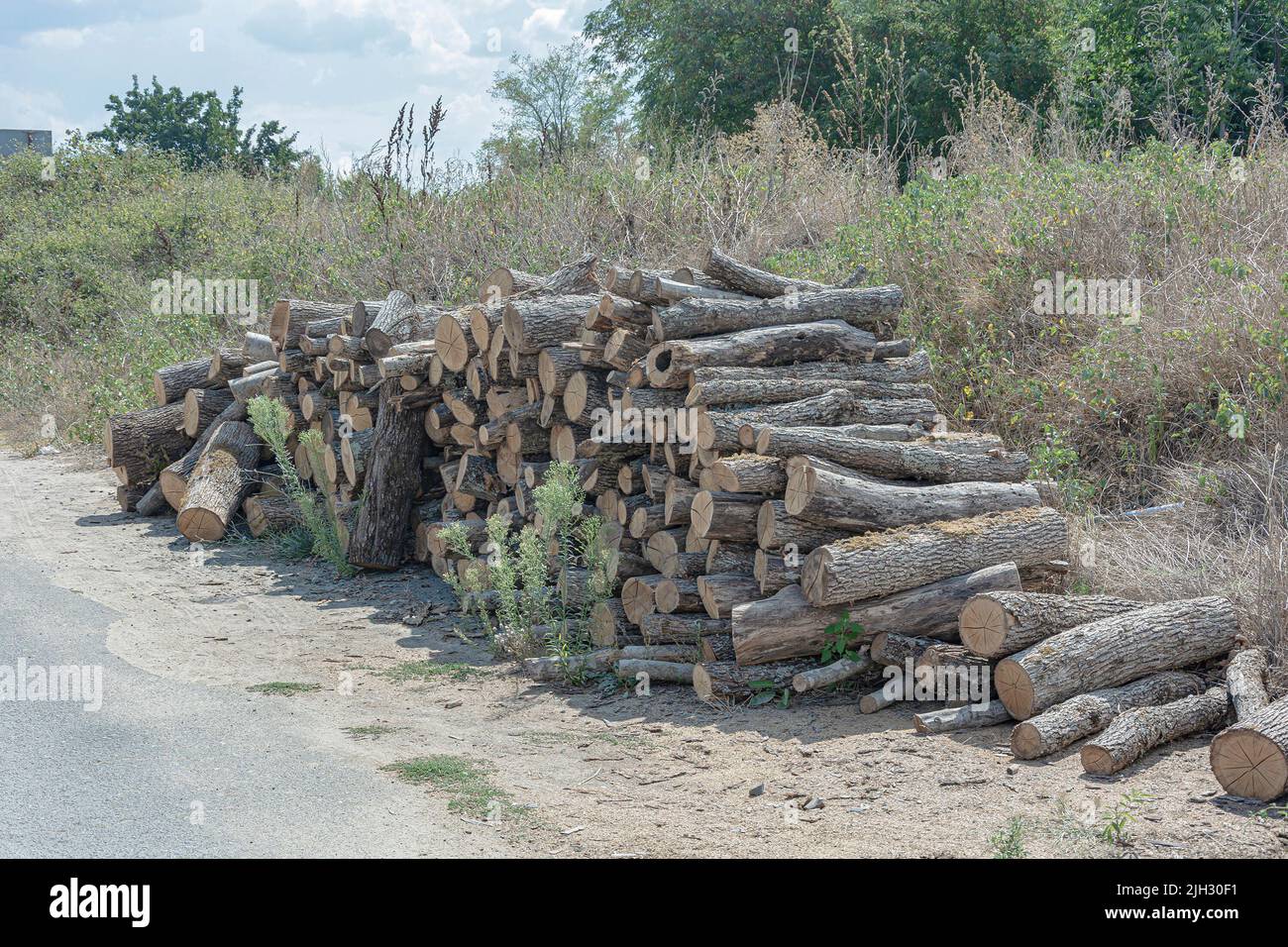 The firewood is stacked on the side of the road. Stock photo Stock Photo