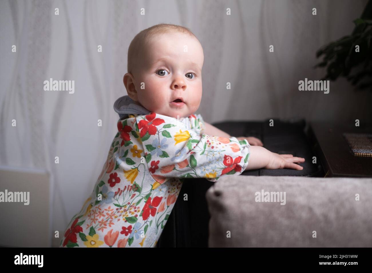happy caucasian nine months old baby girl looking at camera at home photoshoot Stock Photo