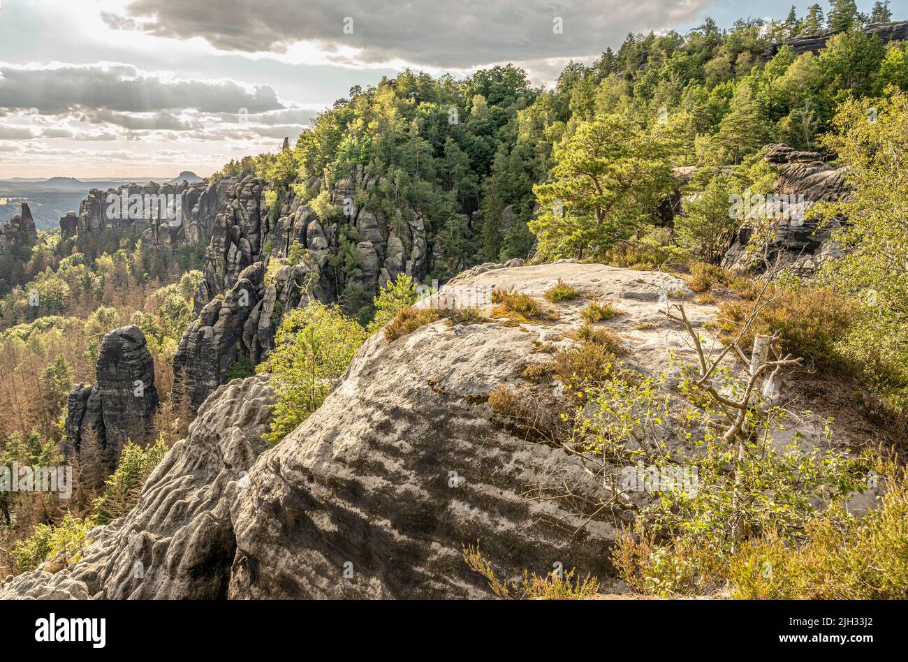 View at the Schrammsteine at the Saxon Switzerland National Park, Saxony, Germany Stock Photo