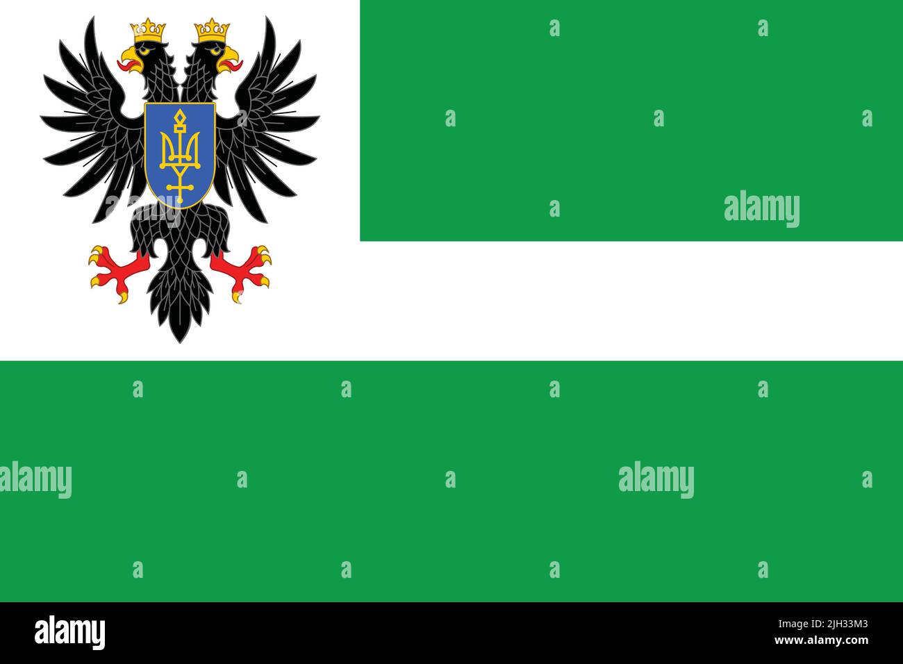 Flag of the CHERNIHIV OBLAST, UKRAINE Stock Vector