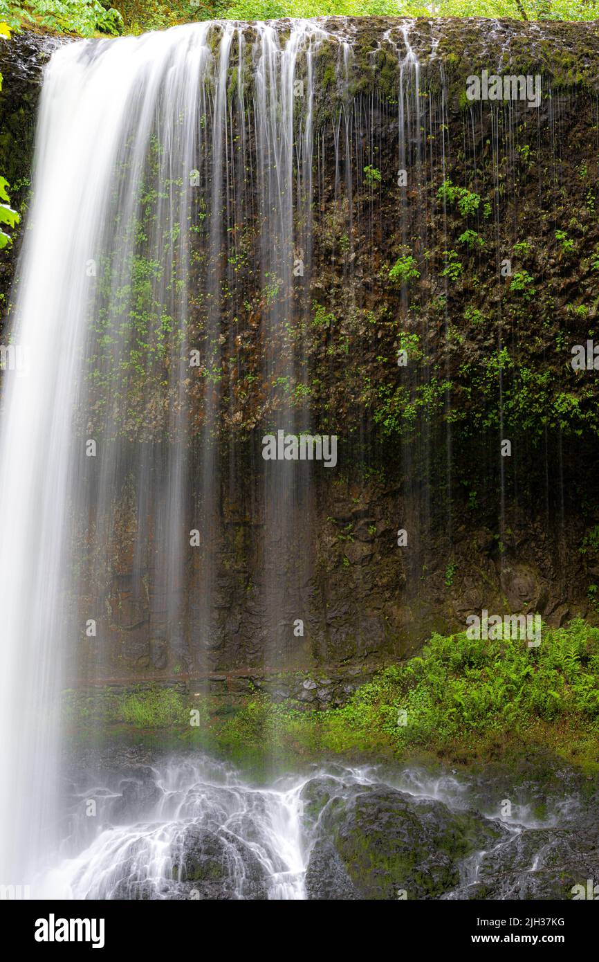 Waterfall in Silver Falls State Park, Oregon Stock Photo Alamy