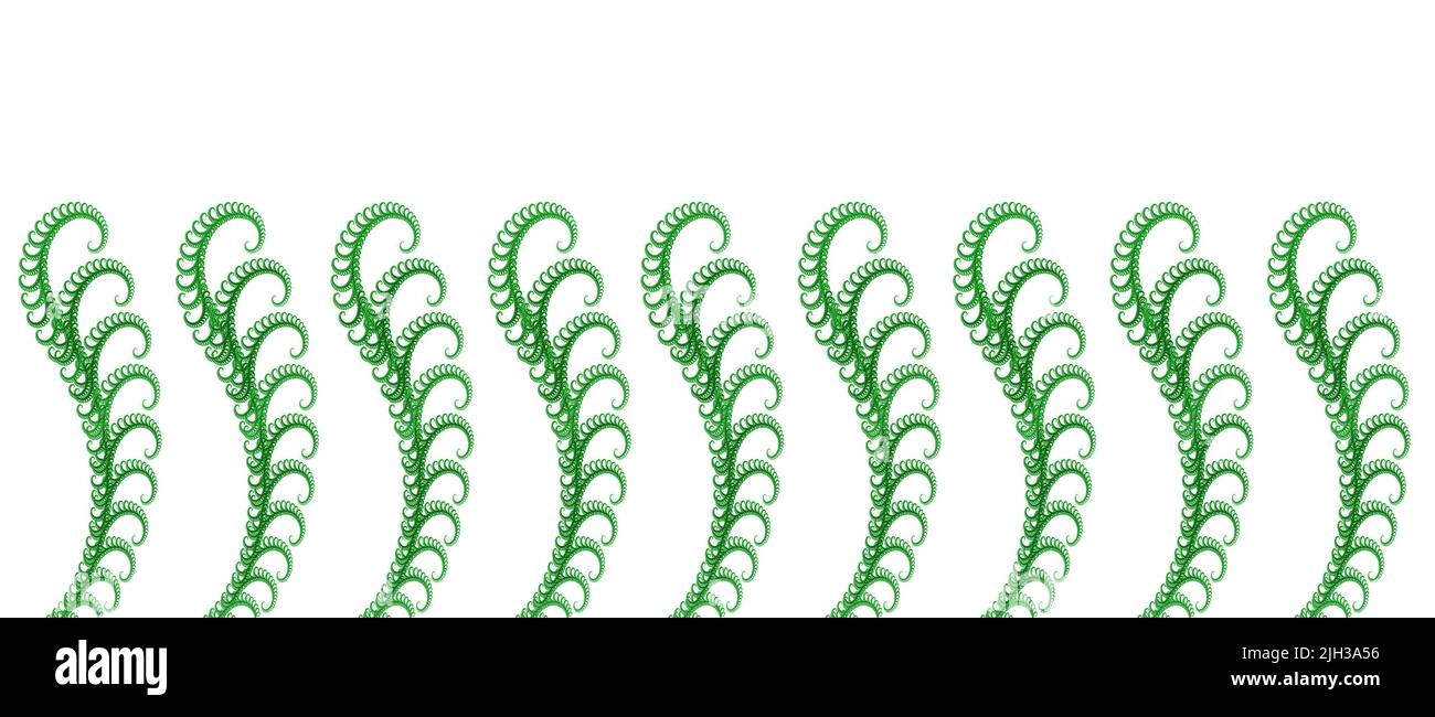 the ferns, illustration on white Stock Photo