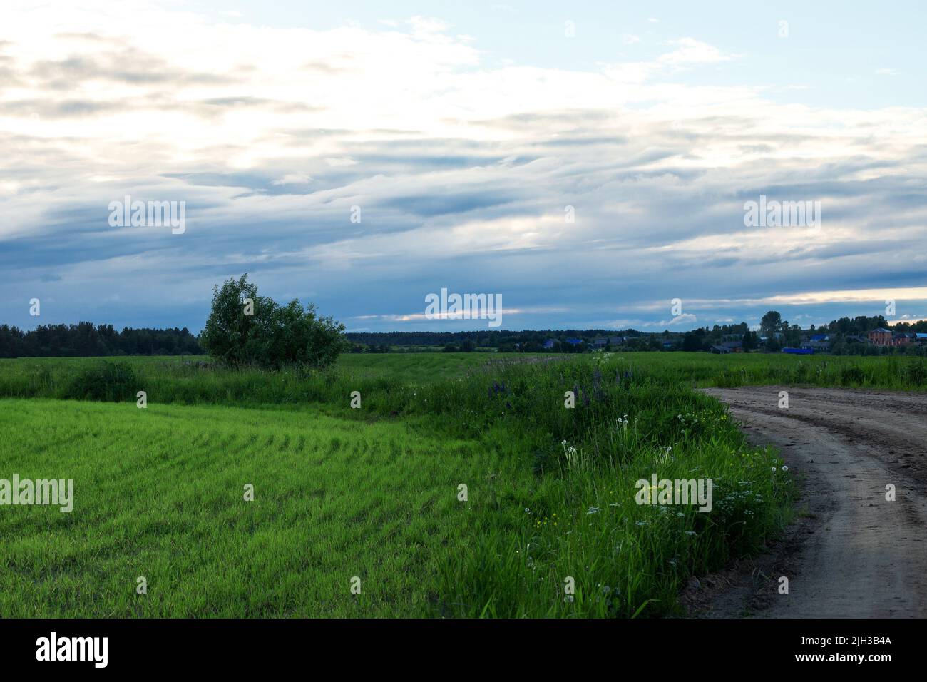 Country road waving along green fields to village. Blue sky white clouds dusk landscape background Stock Photo