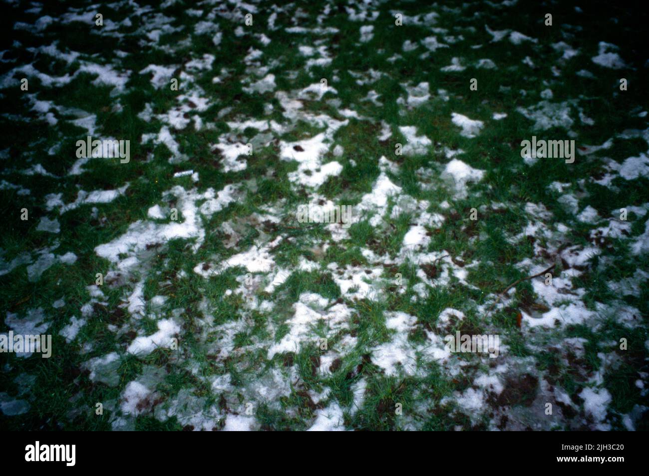 Melting Snow on Grass Stock Photo