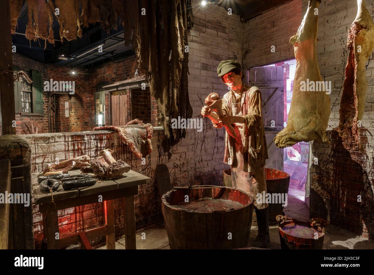 General view of Disease Street, a Victorian slum area within the Thackray Museum of Medicine, Leeds, UK. Stock Photo