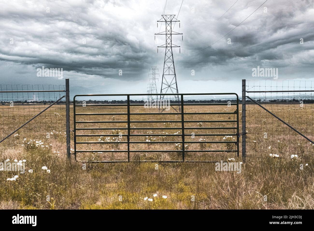 Grid field hi-res stock photography and images - Alamy