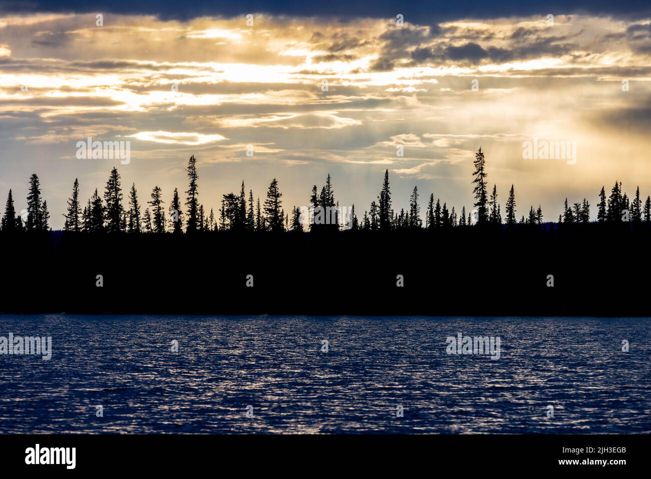 Sun setting behind spruce trees in summer, along Great Bear Lake, Northwest Territories, Canada Stock Photo