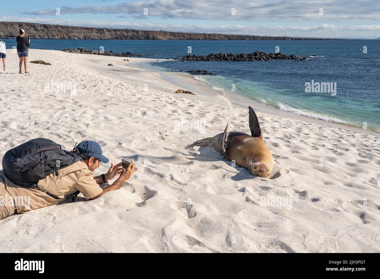 Naturalist guide takes a photo of a sea lion in the Galapagos Islands Stock Photo