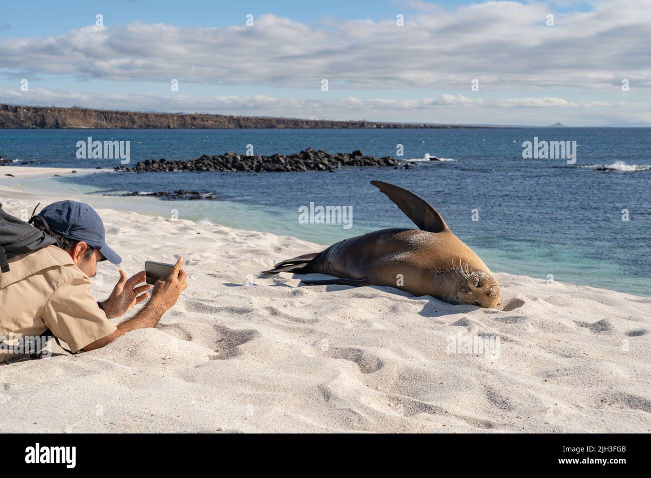 Naturalist guide takes a photo of a sea lion in the Galapagos Islands Stock Photo