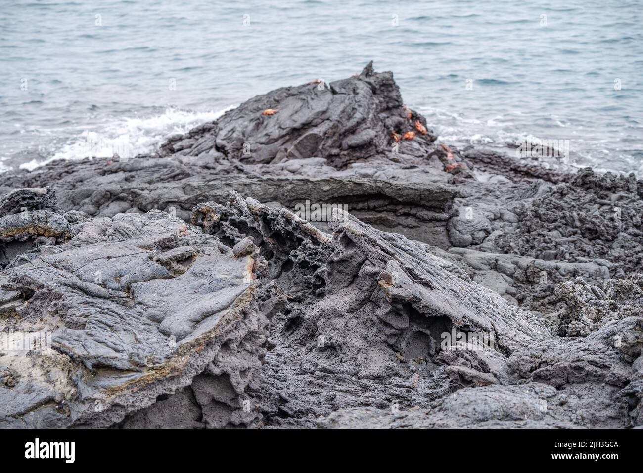 Black lava rock formations on Santiago Island in the Galapagos Stock Photo