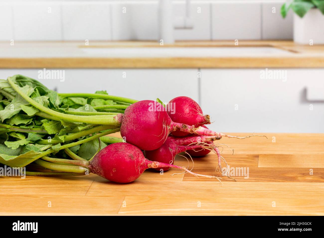Fresh radishes from garden in kitchen. Organic produce, healthy diet and produce concept. Stock Photo