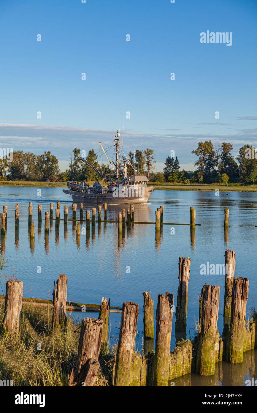 Commercial fishing vessel heading out from Steveston Harbour in British Columbia Canada Stock Photo