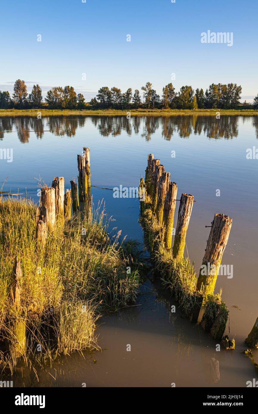 Peaceful evening on Steveston inlet in British Columbia Canada Stock Photo