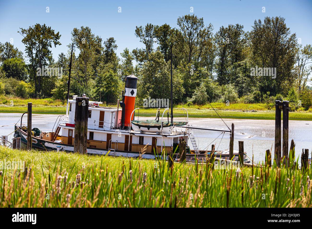 Steam powered tug MASTER docked at the Britannia Ship Yard in Steveston British Columbia on the lowest tide in a decade Stock Photo