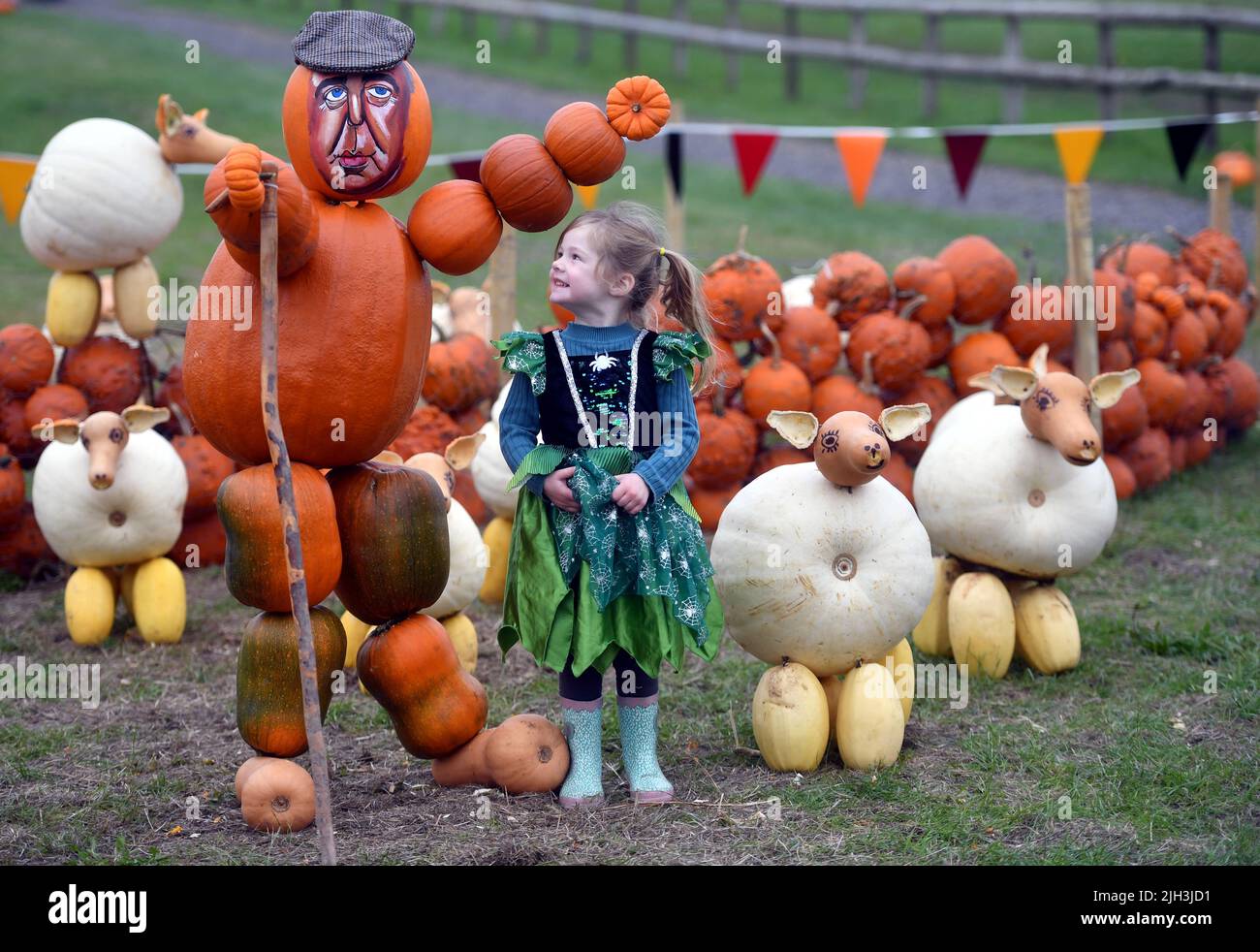 Pumpkinson Farm Rosie Higgins, pumpkin creator, with Seth her pet