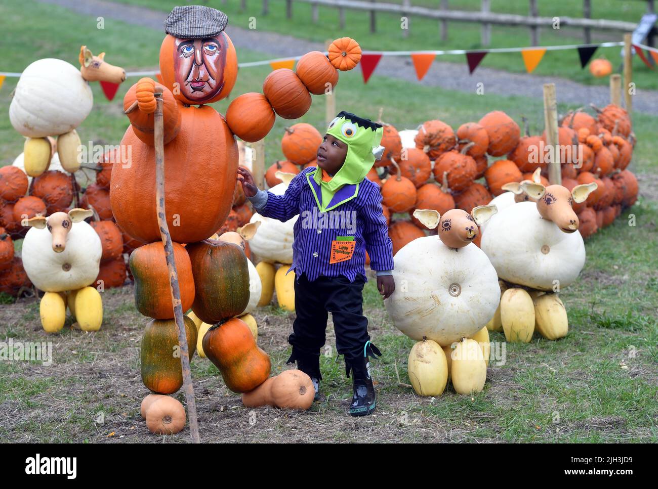 Pumpkinson Farm Rosie Higgins, pumpkin creator, with Seth her pet