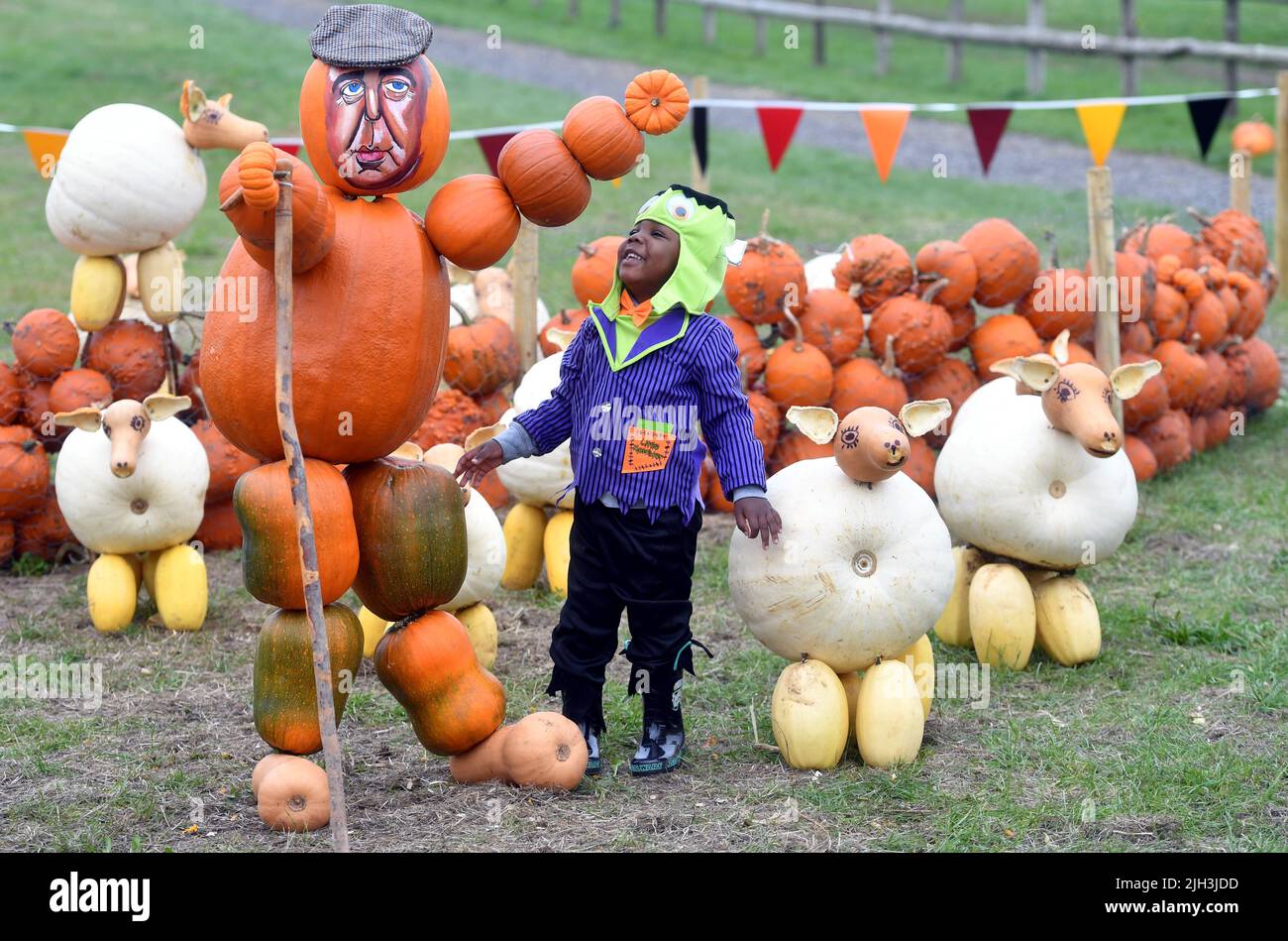 Pumpkinson Farm Rosie Higgins, pumpkin creator, with Seth her pet
