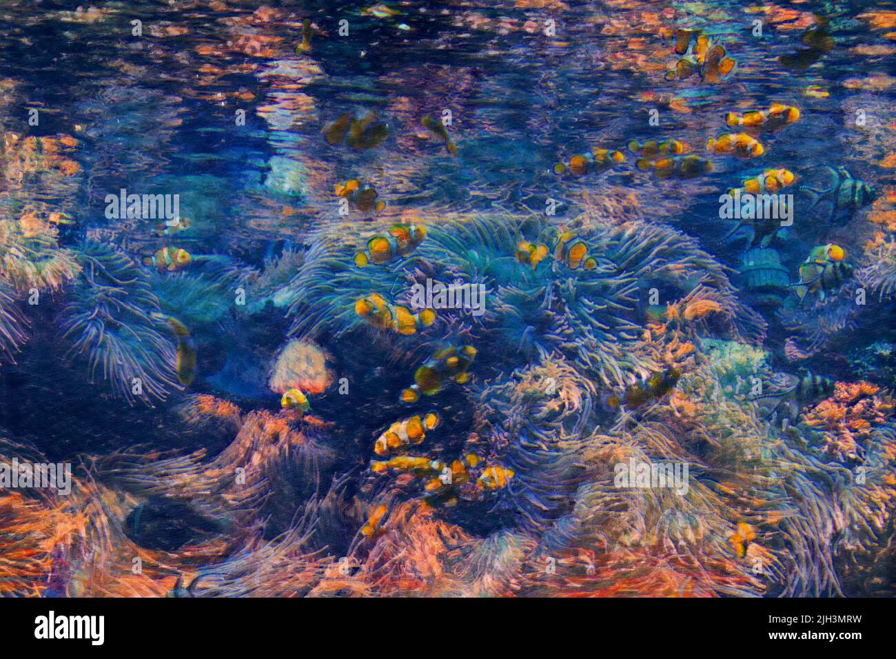 Large aquarium saltwater tank with bright, vibrant colors, Clown Fish, and other corral fish.  Edited to look like a colorful painting. Stock Photo