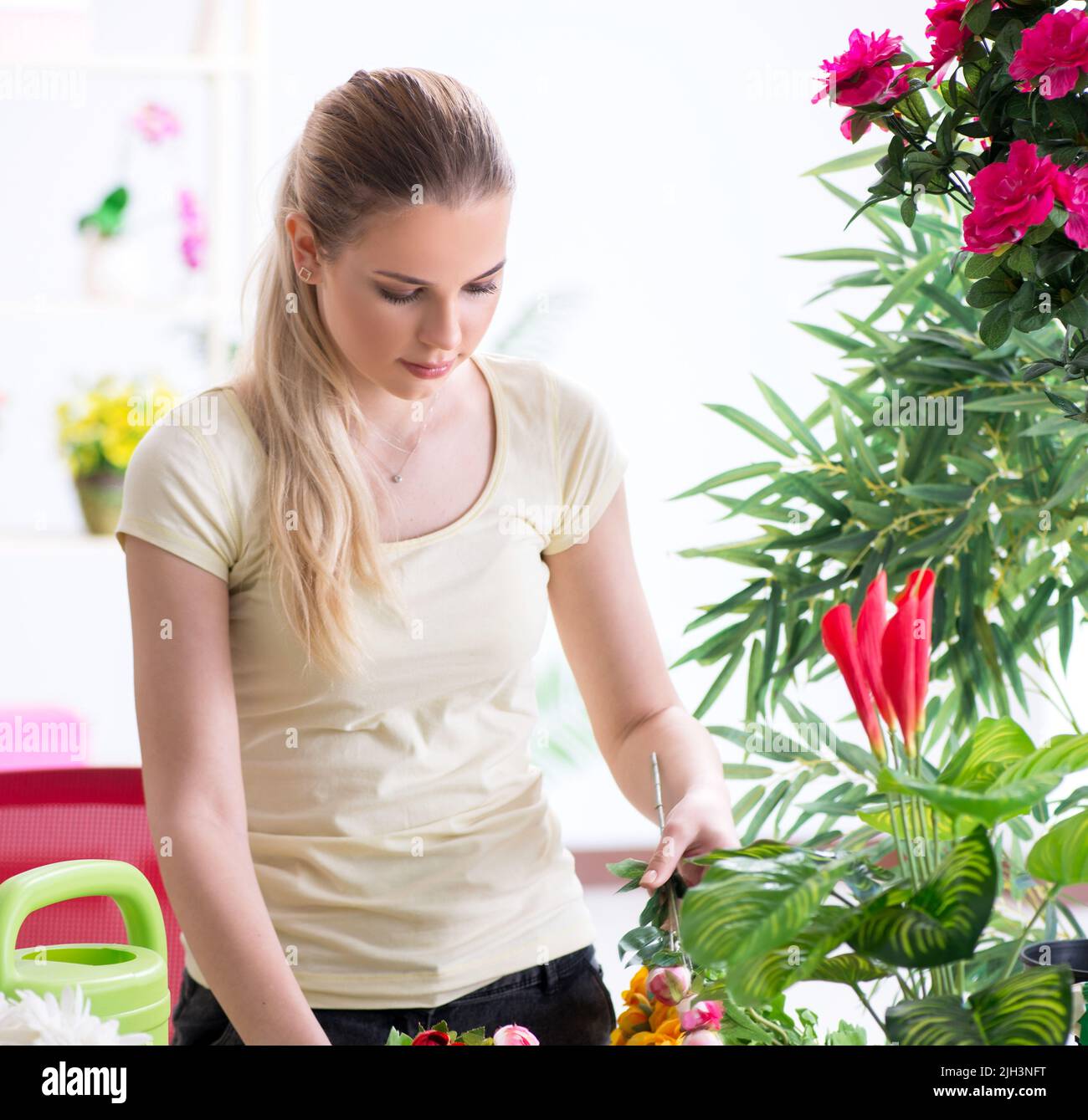 The young woman watering plants in her garden Stock Photo - Alamy