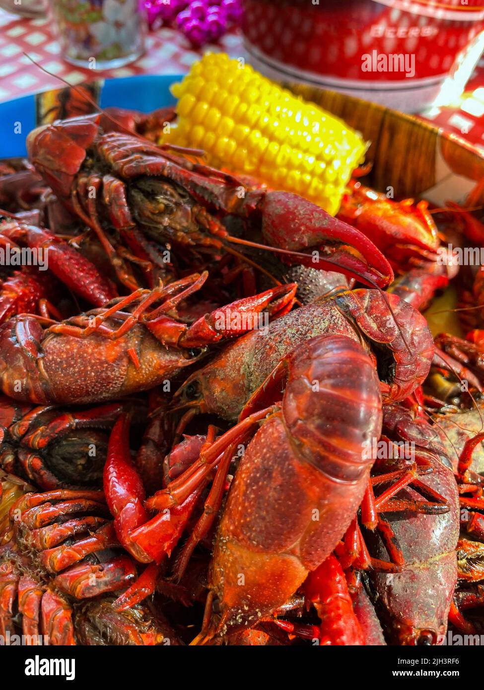 Close up view of a large amount of boiled crawfish being served during summer Stock Photo