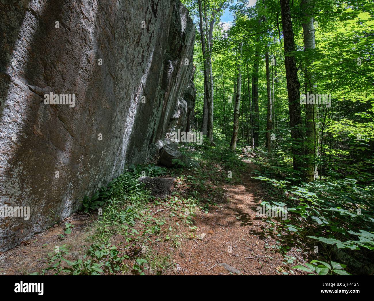 Frost Centre trail surrounded by glacial rock and forest in Halliburton Ontario Canada Stock Photo