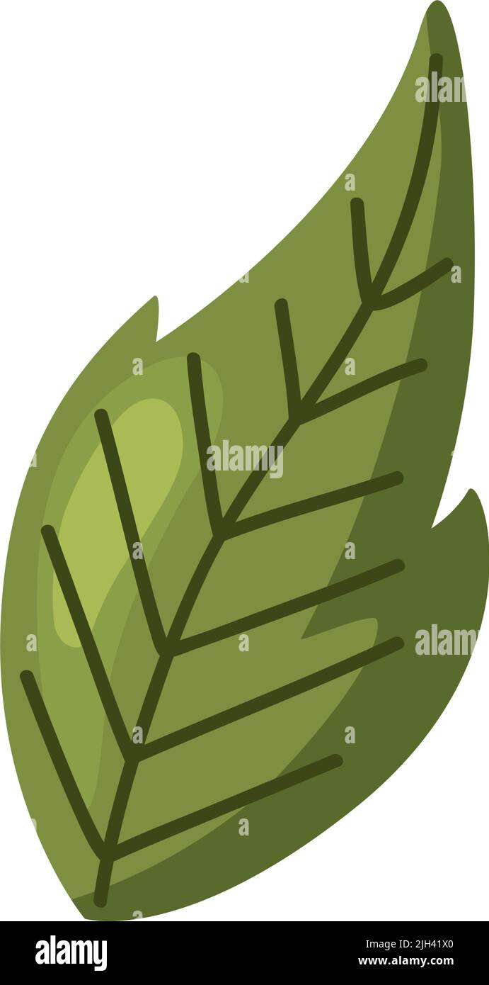 green leaf plant nature icon Stock Vector Image & Art - Alamy