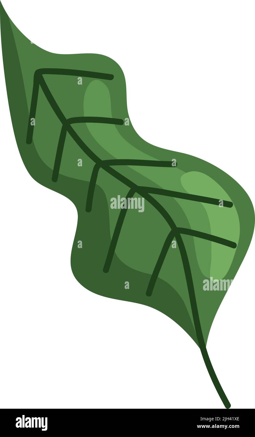 green leaf plant nature icon Stock Vector Image & Art - Alamy