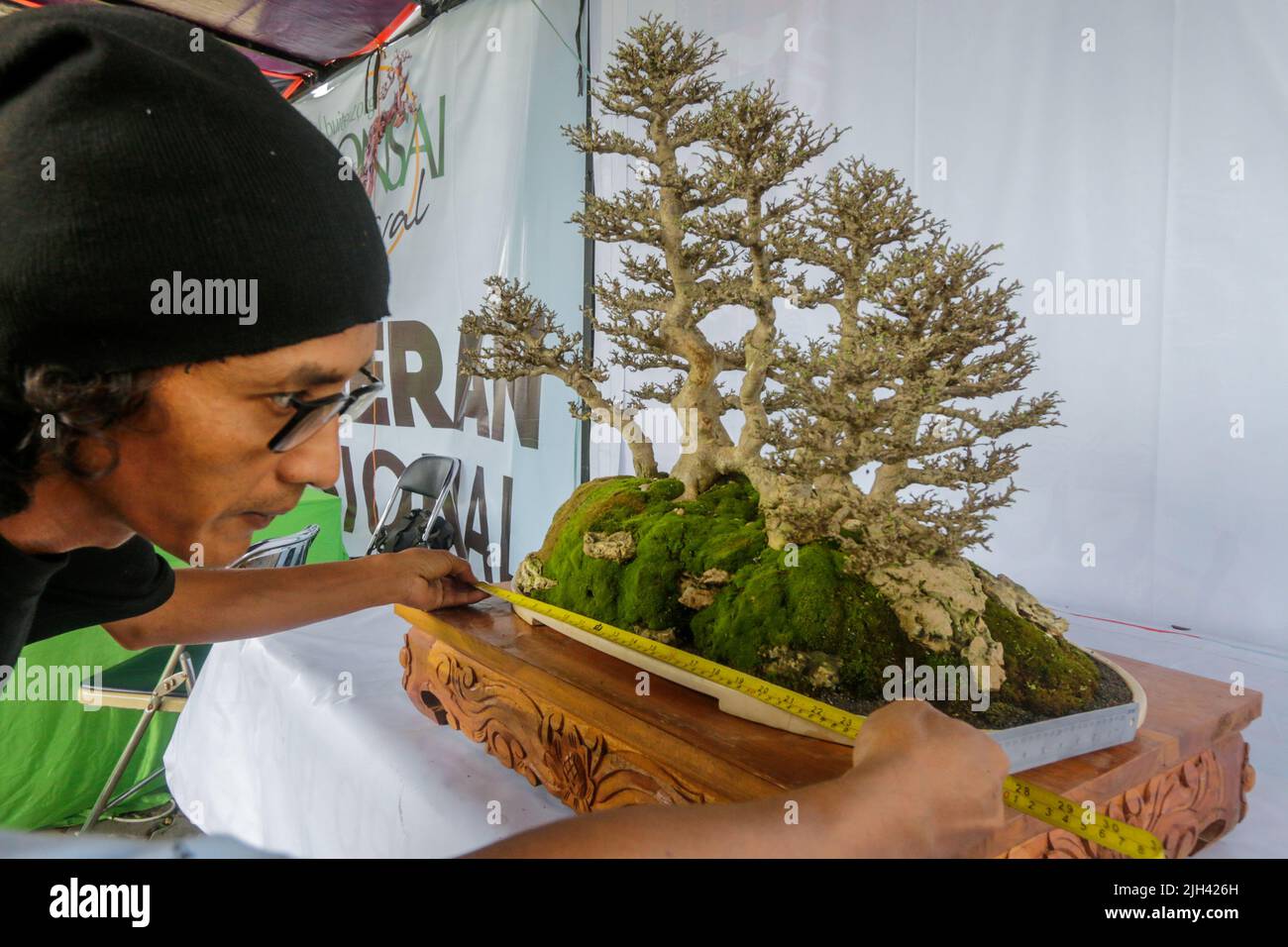 Bonsai contest and exhibition at Bogor City, Indonesian. Indonesia is
