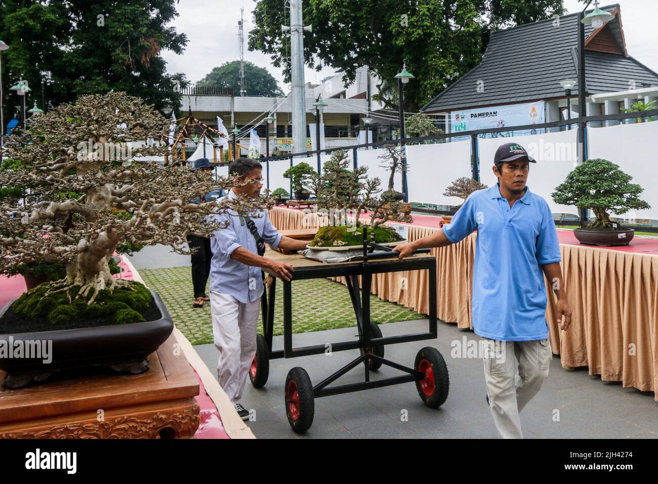 Bonsai contest and exhibition at Bogor City, Indonesian. Indonesia is