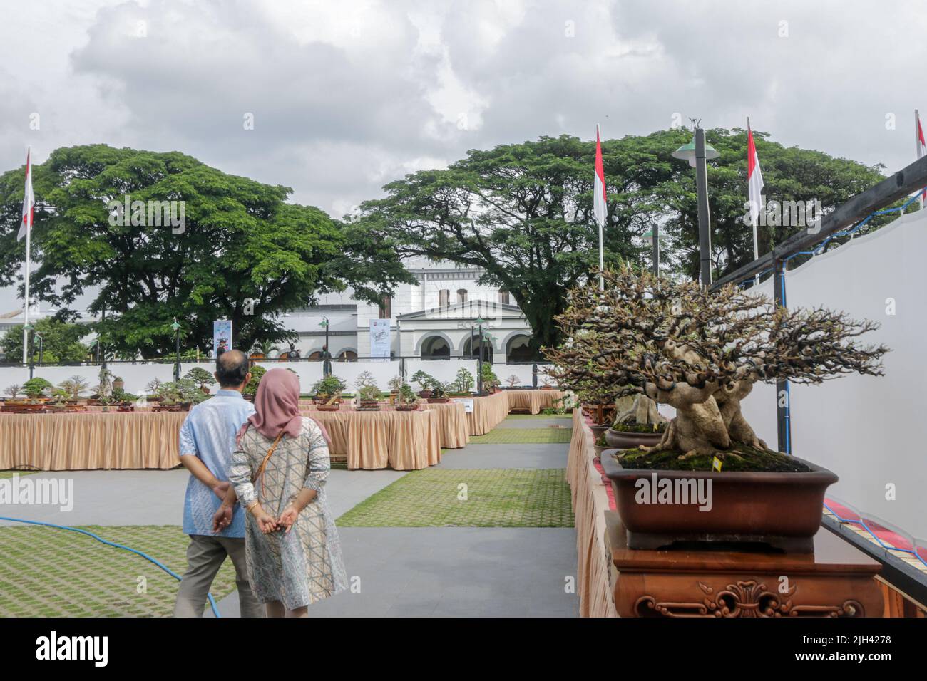 Bonsai contest and exhibition at Bogor City, Indonesian. Indonesia is