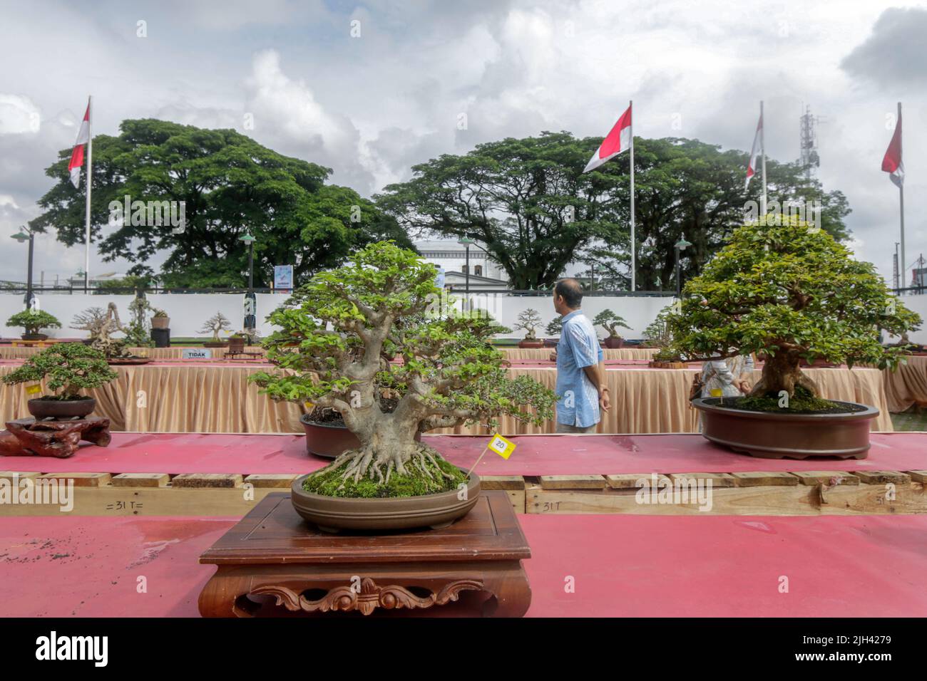 Bonsai contest and exhibition at Bogor City, Indonesian. Indonesia is