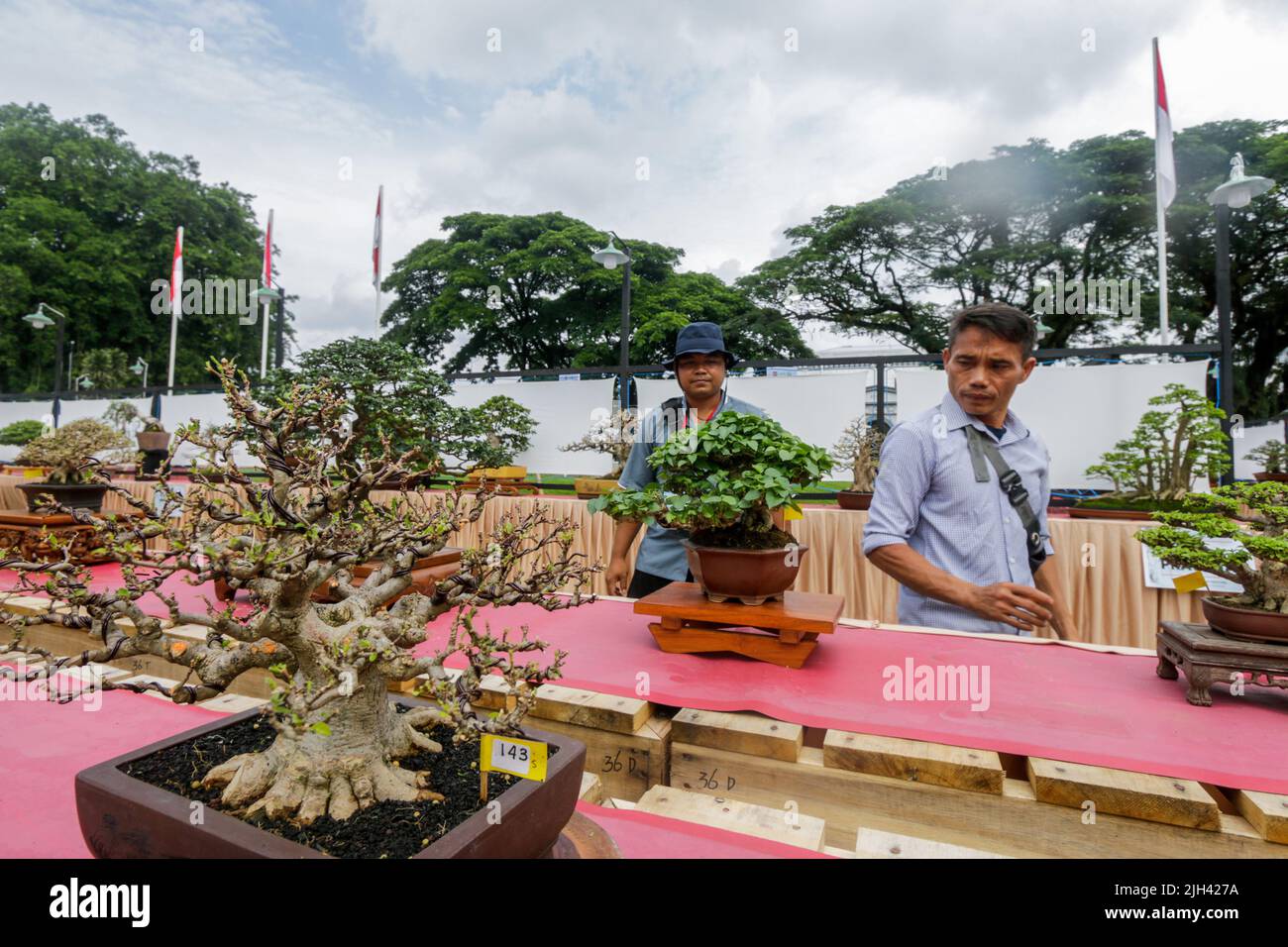 Bonsai contest and exhibition at Bogor City, Indonesian. Indonesia is