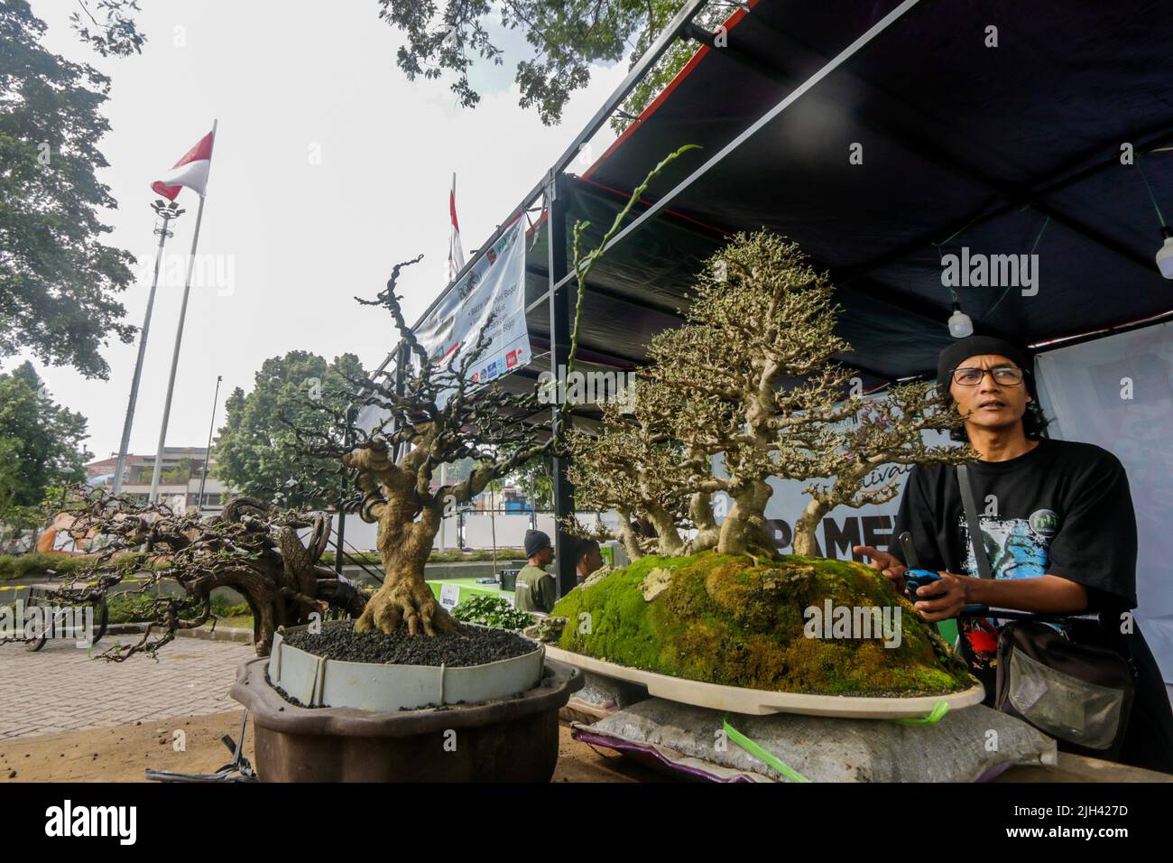Bonsai contest and exhibition at Bogor City, Indonesian. Indonesia is