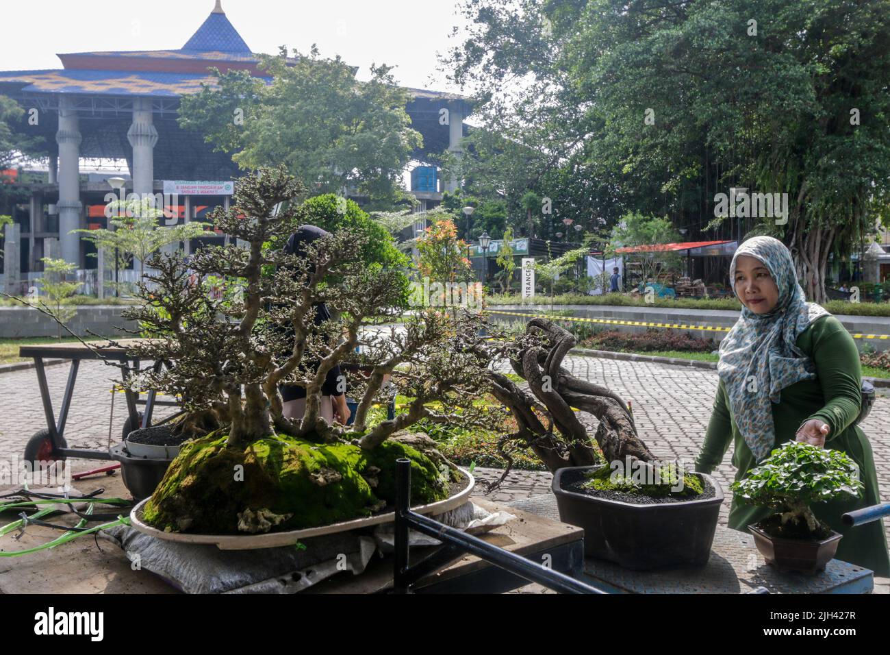 Bonsai contest and exhibition at Bogor City, Indonesian. Indonesia is