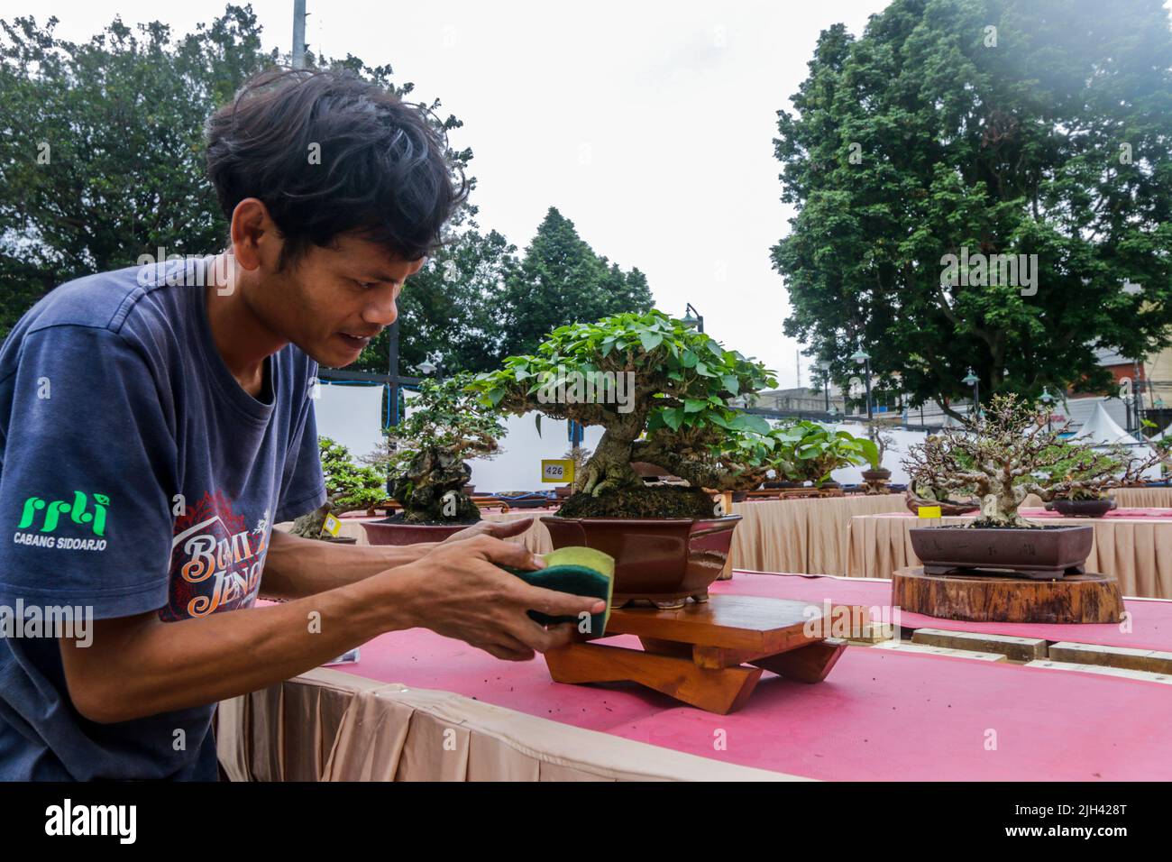 Bonsai contest and exhibition at Bogor City, Indonesian. Indonesia is