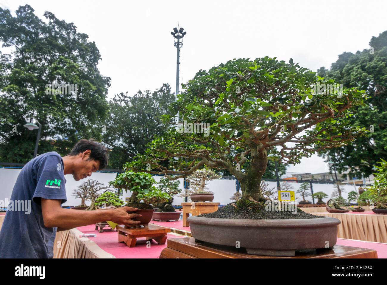 Bonsai contest and exhibition at Bogor City, Indonesian. Indonesia is