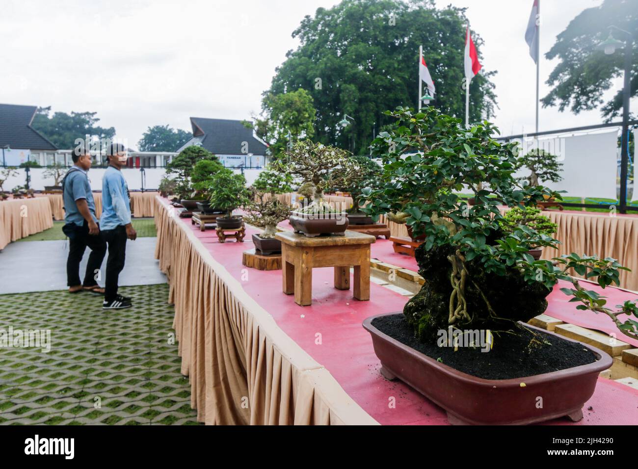 Bonsai contest and exhibition at Bogor City, Indonesian. Indonesia is