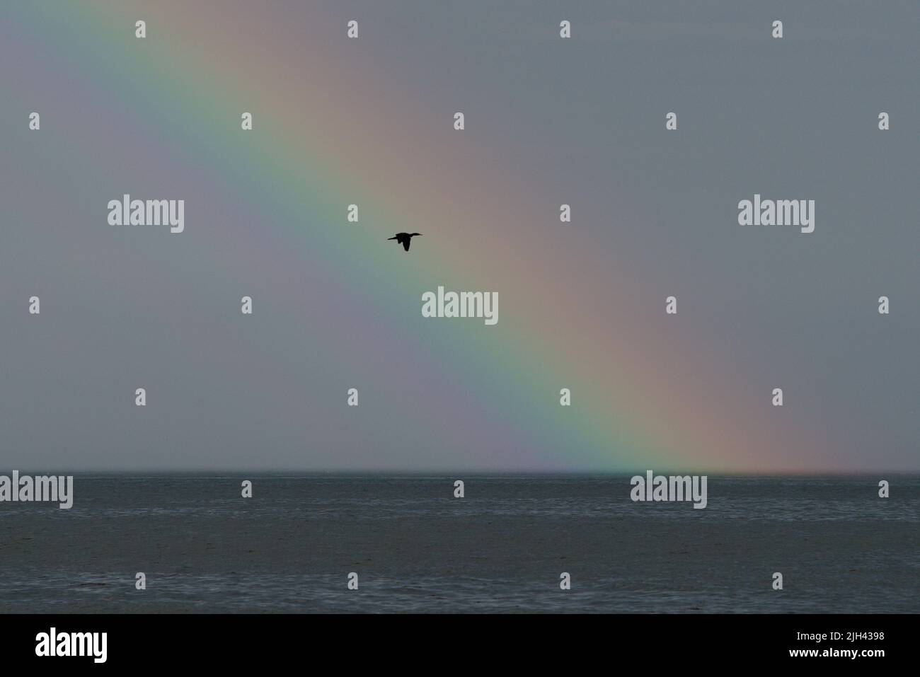 A rainbow appears over the Gulf of Maine. Stock Photo