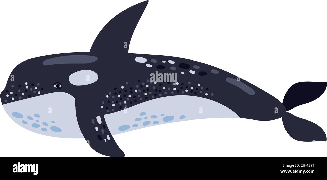 orca whale sealife animal icon Stock Vector Image & Art - Alamy