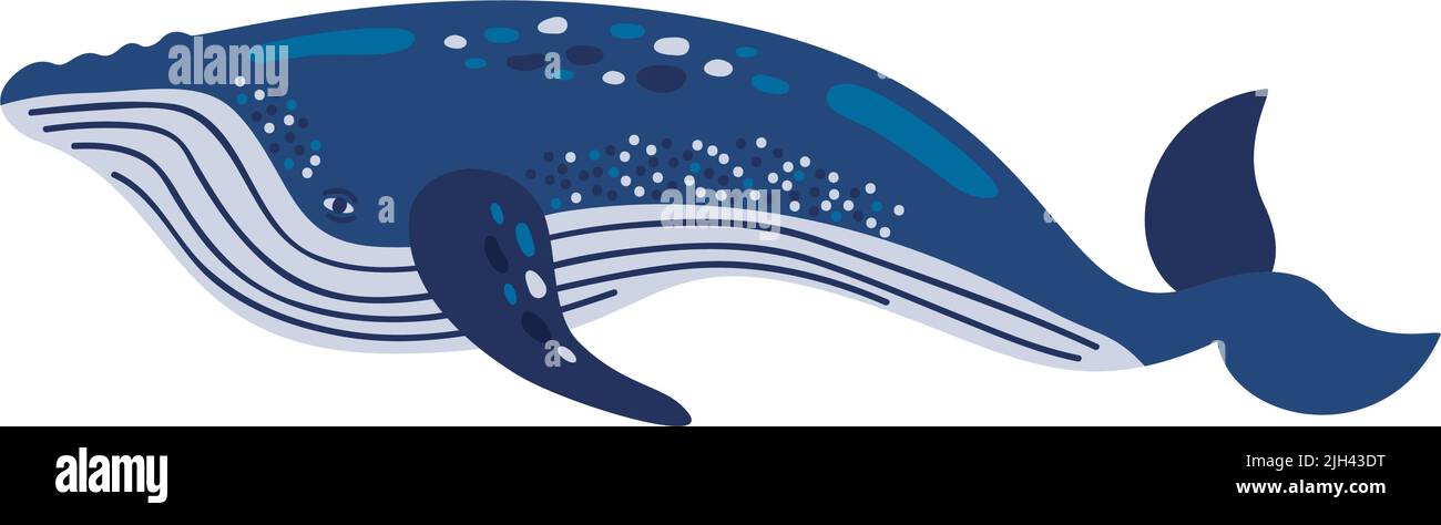 blue whale sealife animal icon Stock Vector Image & Art - Alamy