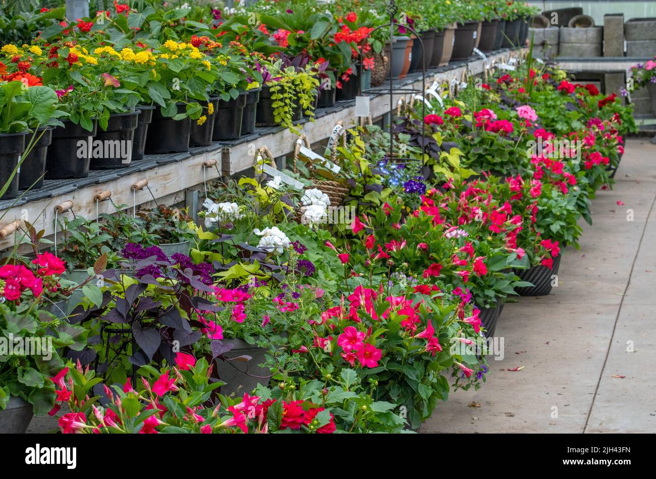Potted flowers and plants line this colorful garden center, promising that spring is finally