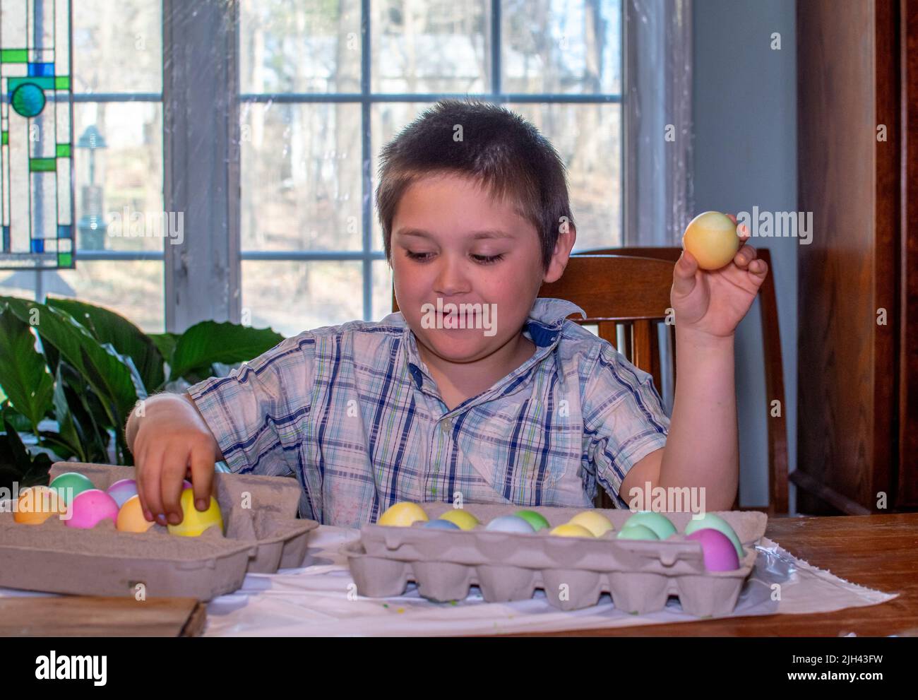 Smiling boy examines the colorful eggs he just created for Easter celebrations and egg hunts Stock Photo
