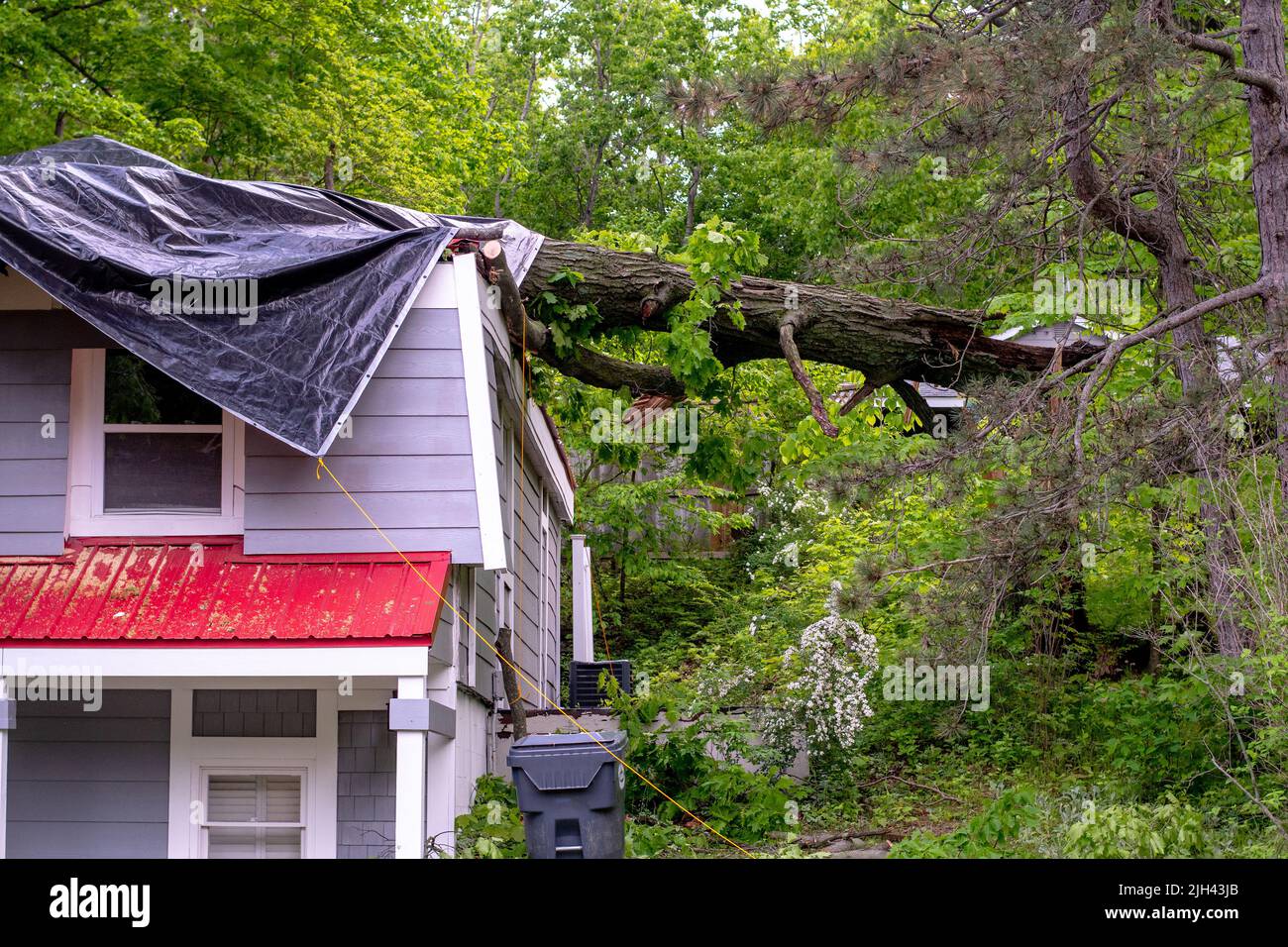Storm damage and high winds knocks a tree down on top of the roof of this vacation home Stock Photo