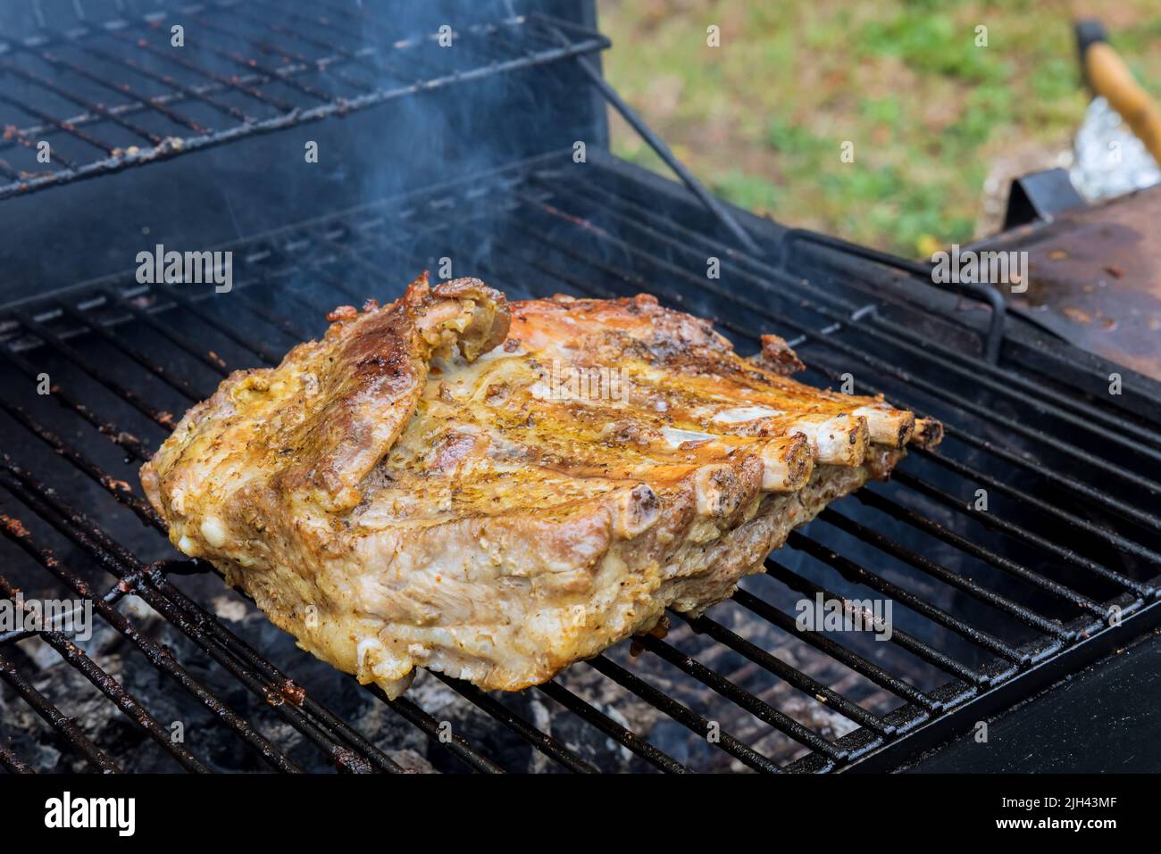 It was a pleasure to be able to eat delicious grilled pork ribs at the hot BBQ picnic. Stock Photo