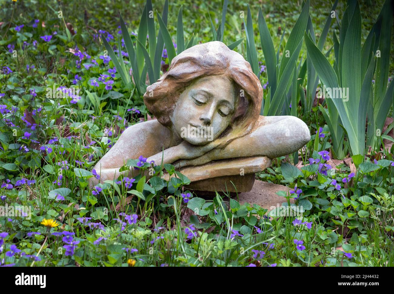 Cement sculpture of a sleeping girl looks at home in this patch of violets and growing iris plants Stock Photo
