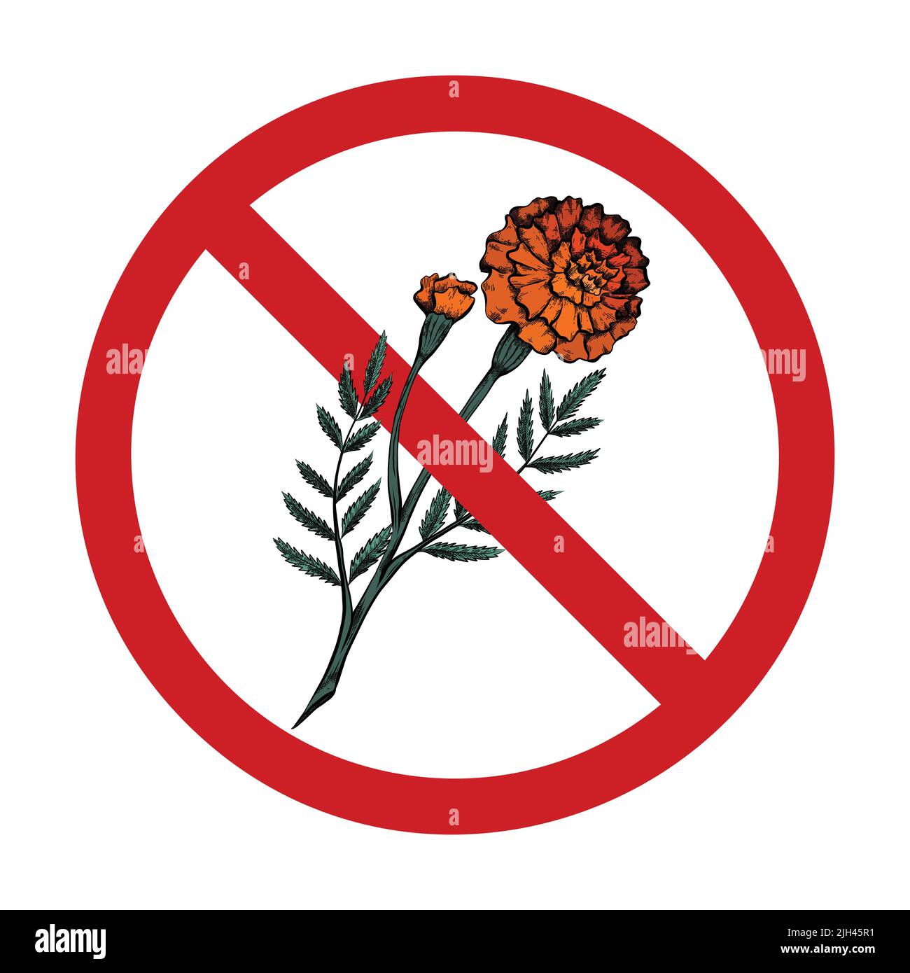 Marigolds in the forbidden sign. Vector prohibition sign with flower sketch. Don t pick flowers. Rare plants. Allergy danger. Stock Vector