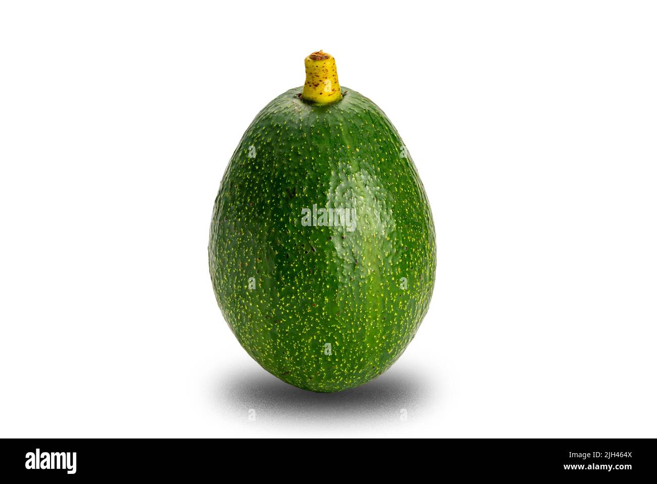 Single green fresh avocado with stalk isolated on white background with clipping path. Stock Photo