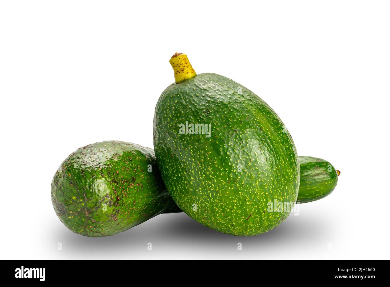 Two varieties of fresh green avocadoes fruit on white background with clipping path. Stock Photo