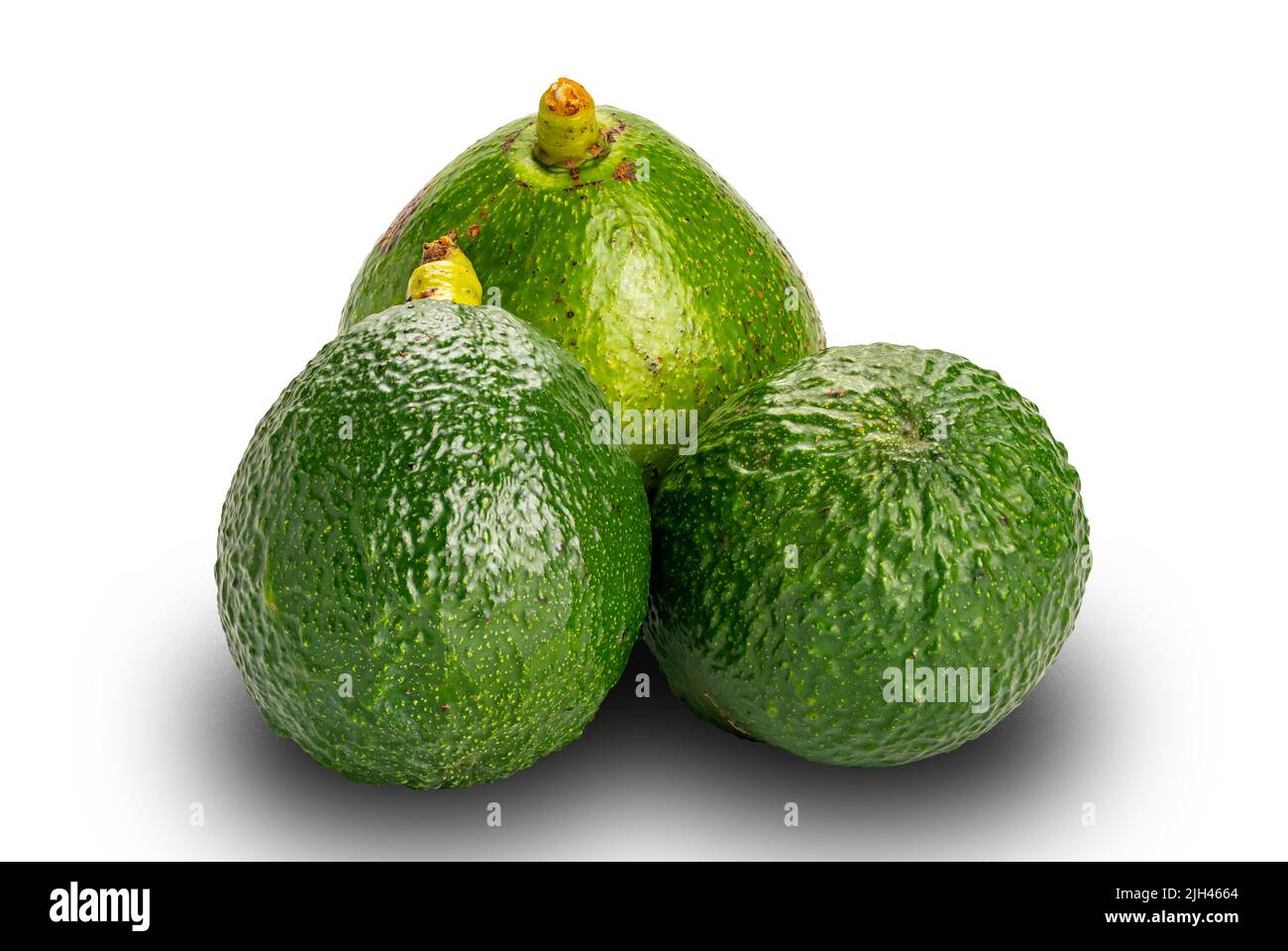 Group of fresh green avocadoes with stalk isolated on white background with clipping path. Stock Photo
