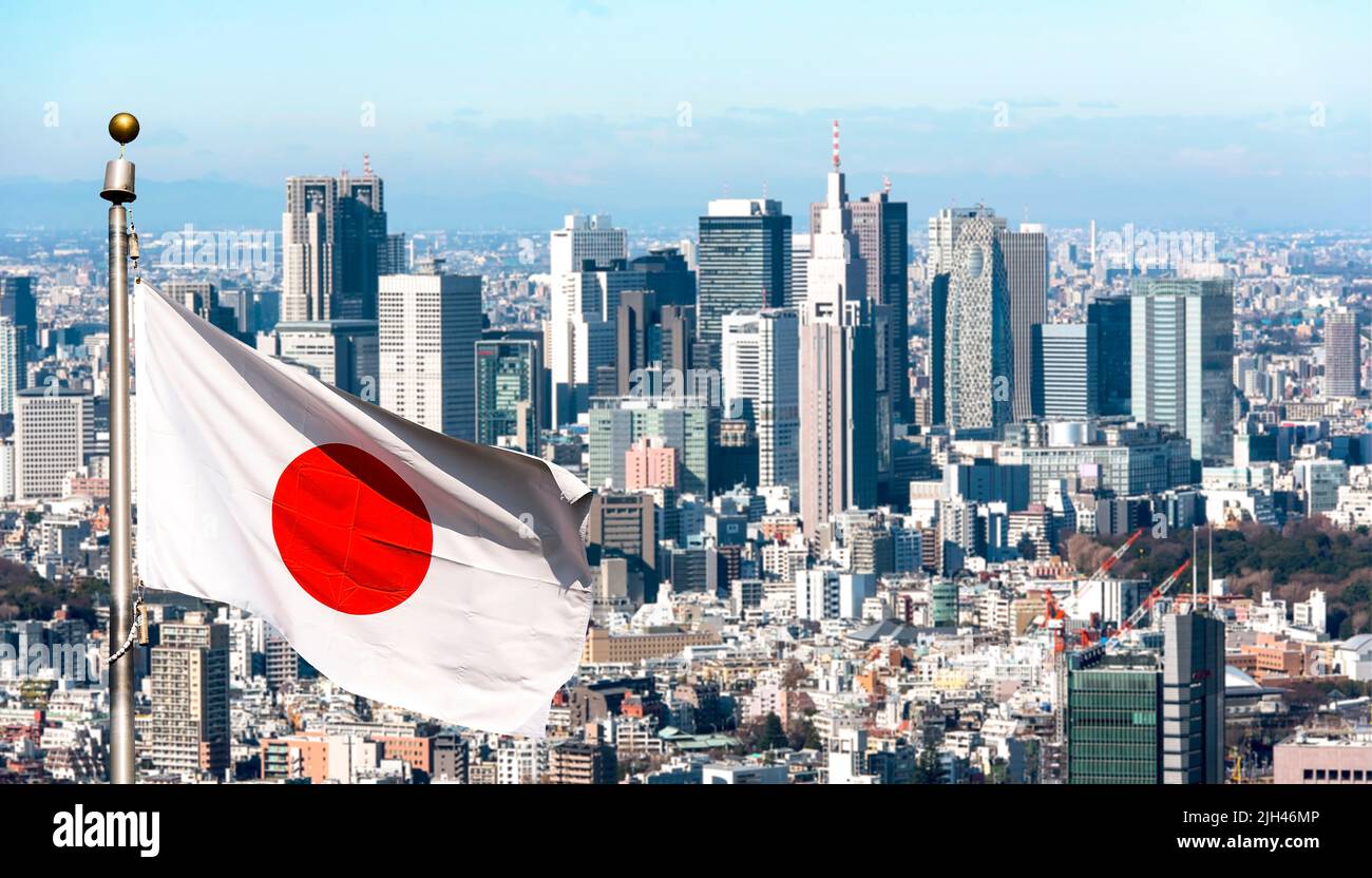 Panoramic view of Tokyo and Japanese flag, Japan Stock Photo